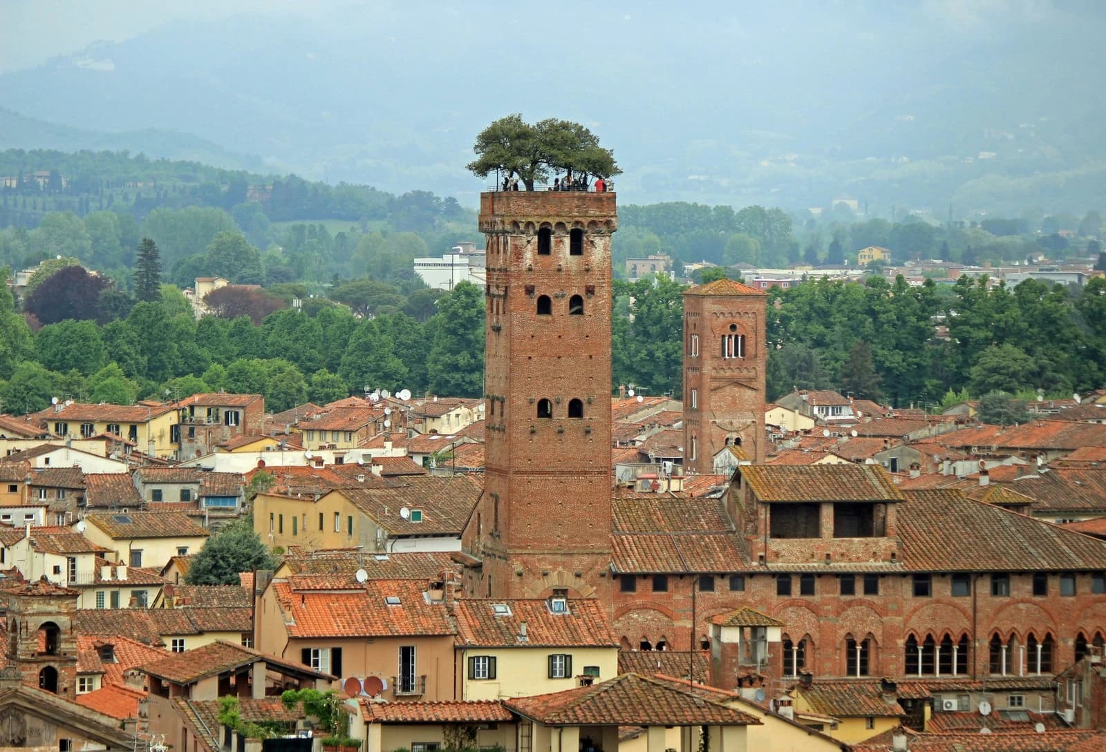 Torre Guinigi a Lucca